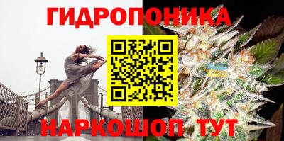 СК Гай
