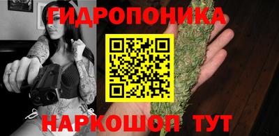 прущие крисы Гатчина