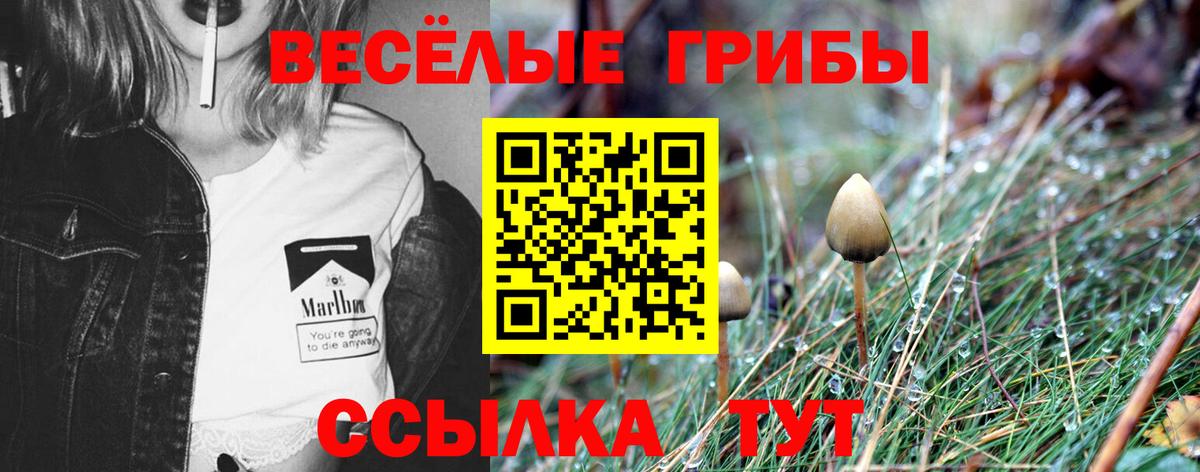 Мурино  Псилоцибиновые грибы Magic Shrooms  Псилоцибиновые грибы MAGIC MUSHROOMS  Вход с VPN 